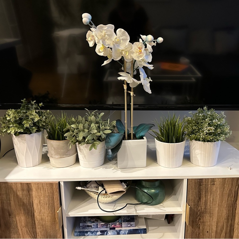6 fake plants